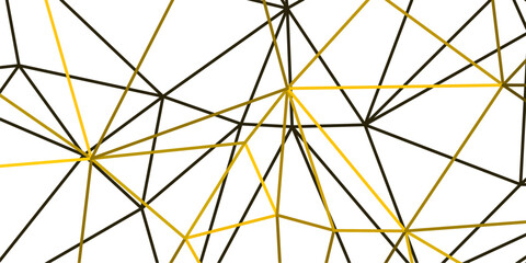 Fototapeta premium abstract elegant geometric background with gold lines triangles