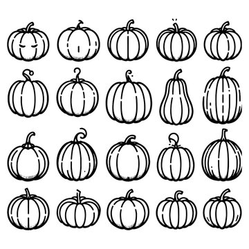 Pumpkin vector illustration of different shapes and sizes 