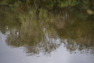 reflection in water