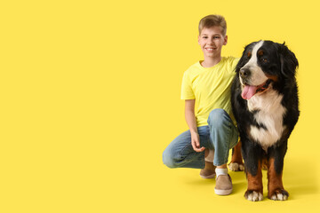 Little boy with Bernese mountain dog on yellow background