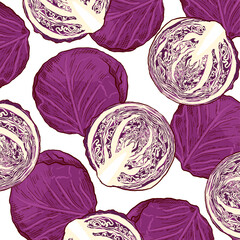 Vector Hand Drawn Illustration Purple Cabbage