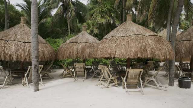 Tropical plant umbrellas over tables in Mexico