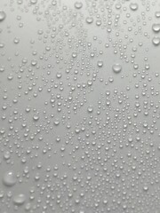 水玉
