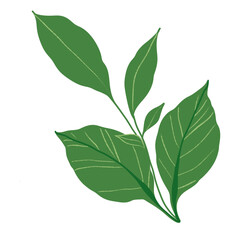 Hand drawn floral frames with flowers. Wreath. Elegant logo template. Vector illustration for labels, branding business identity, wedding invitation