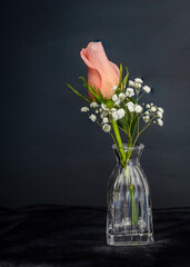 Peach rose bud in petite vase.