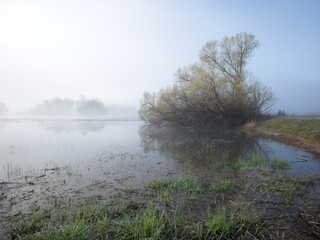 Foggy morning at a pond in Idaho.