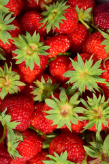 Strawberries with green stems. Closeup of berries.