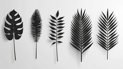 A collection of palm leaf silhouettes that have been isolated on a white background