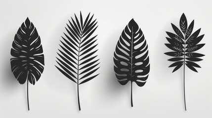 A collection of palm leaf silhouettes that have been isolated on a white background - obrazy, fototapety, plakaty