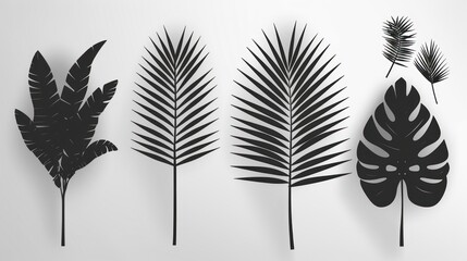 Fototapeta na wymiar A collection of palm leaf silhouettes that have been isolated on a white background