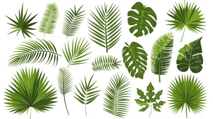 Fototapeta na wymiar A collection of palm leaf silhouettes that have been isolated on a white background