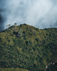 view of Pico Ruivo & Nuns valley, Madeira, Portugal