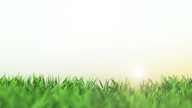 Fundo de capim verde com sol e c&eacute;u 