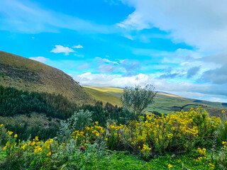 Ecuador tropical country landscape photography