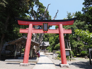 静岡県　伊豆の白浜神社