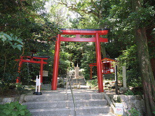 Fototapeta na wymiar 静岡県　伊豆の白浜神社
