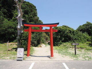 静岡県　伊豆の白浜神社