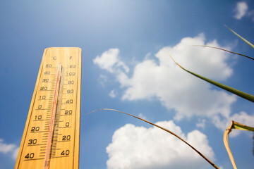 Thermometer background is blue sky Content on global warming - obrazy, fototapety, plakaty