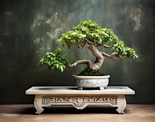 Deurstickers A Bonsai tree with white and green leaves in an ornamental rectangular pot © Asep