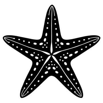 recommend clip art: starfish mascot,star silhouette,vector,icon,svg,characters,Holiday t shirt,black star drawn trendy logo Vector illustration,christmas star on a white background,eps,png