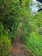 Ecuador tropical country landscape photography