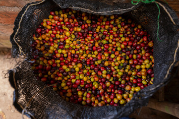 close up of a coffee