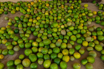 Limones 