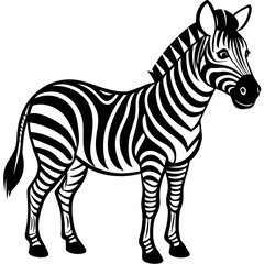 Fototapeta na wymiar zebra vector illustration mascot,zebra silhouette,vector,icon,svg,characters,Holiday t shirt,black zebra drawn trendy logo Vector illustration,zebra on a white background,eps,png
