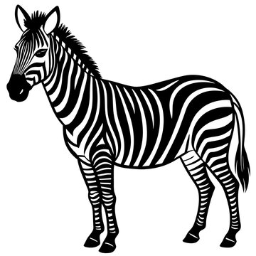 zebra vector illustration mascot,zebra silhouette,vector,icon,svg,characters,Holiday t shirt,black zebra drawn trendy logo Vector illustration,zebra on a white background,eps,png