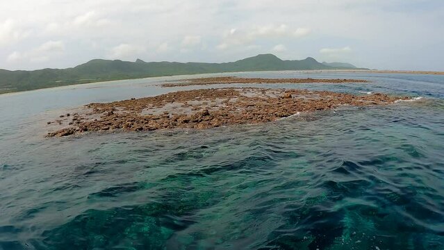 干潮時間、干上がったサンゴと岩