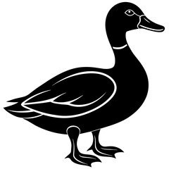 duck silhouette vector illustration