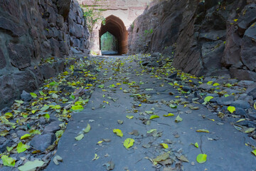 Dry leaves on Hathi nahar, Elephant gully or Rainwater gully to channel rainwater to Ranisar and Padamsar lakes of Mehrangarh fort, at Rao Jodha Desert Rock Park, Jodhpur, Rajasthan, India.