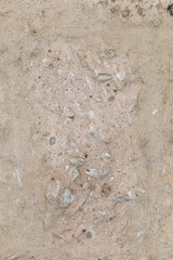 A close up of a rough