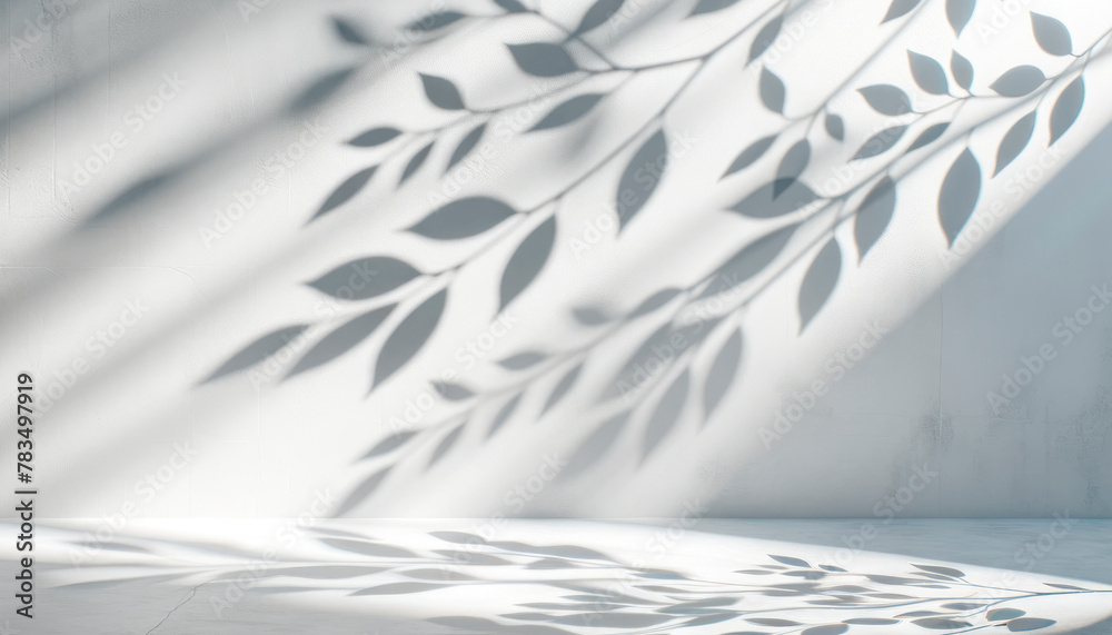 Poster white wall with shadows of leaves, a concept for clean and modern design with ample copyspace, set a