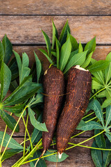 Cassava root and green leaves of the plant on a wooden table in Brazil