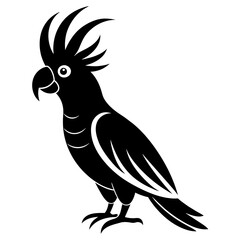 cockatoo silhouette vector art illustration