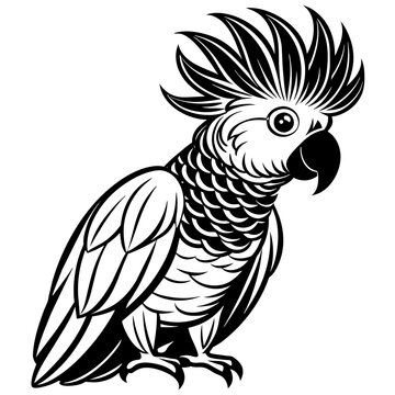 recommend clip art: cockatoo silhouette vector art illustration