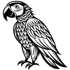 macaw silhouette vector art illustration