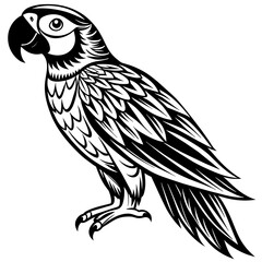 macaw silhouette vector art illustration