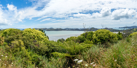 McGregor Bay and Coromandel Harbour from the Kauri Block Walk lookout, nestled in the native bush of the Coromandel Ranges. New Zealand