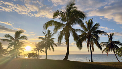 palm trees on the beach at sunset in Fiji