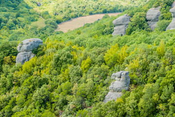 Dense forest with distinctive rock formations in region showcasing natural beauty in Meteora Greece