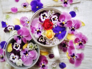 still life with orchid