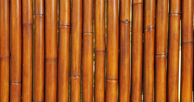 Fence constructed from tightly arranged bamboo culms, which have been dried and coated with protective finish. This natural material showcases its aesthetic and functional qualities.