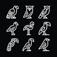 A set of nine icon illustration of a unique bird concept. eagle, owl, crow, pigeon, flamingo, macaw, toucan, peacock, canary. Set collection of animals Icons. Simple line art style icons pack