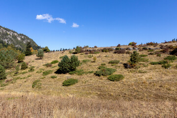 Obraz premium the beginning of autumn in nature , nature walks, panoramic views , hiking trails and recreation in the mountains.