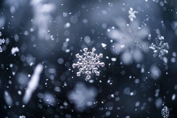 Frosty Snowflake Elegance Against Obsidian Sky, Detailed Shot