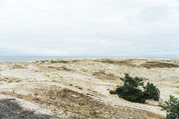 The Epha`s dune. Epha Height. Curonian spit in Kaliningrad region in Russia