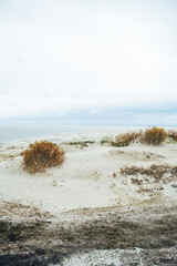 The Epha`s dune. Epha Height. Curonian spit in Kaliningrad region in Russia