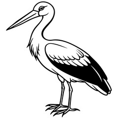 stork--on-a-white-background--no-background-vector